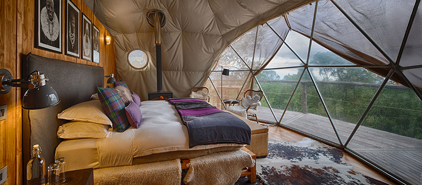 Geodesic bedroom dome with plush bedding and panoramic views over the forest