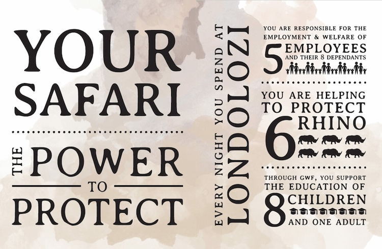 Conservation statistics on customer night stays at Londolozi, South Africa 