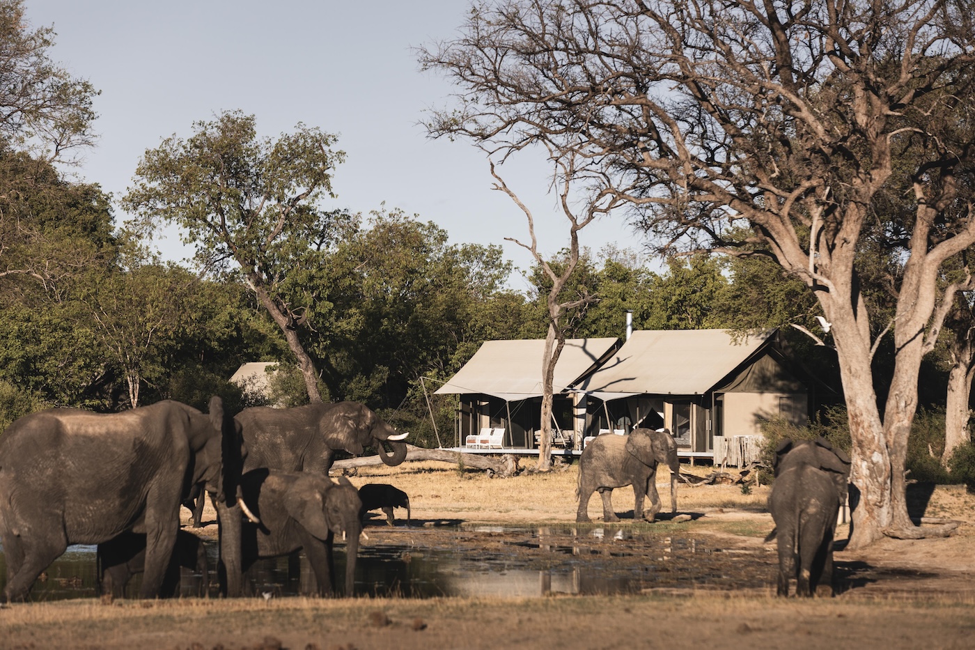 Woman enjoying sundownsers at sunset at Linkwasha Camp in Hwange National Park, Zimbabwe
