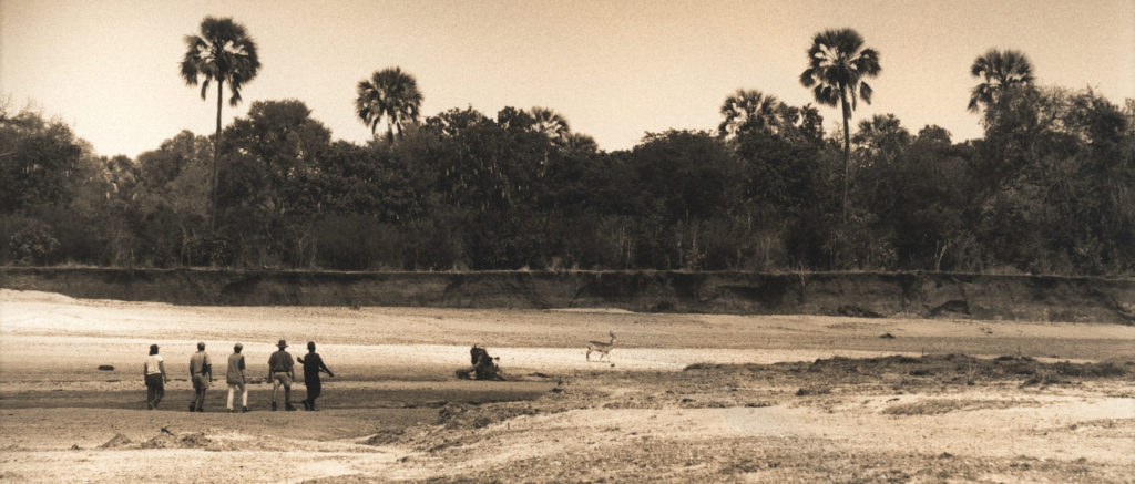 Game walk in the South Luangwa National Park in Zambia