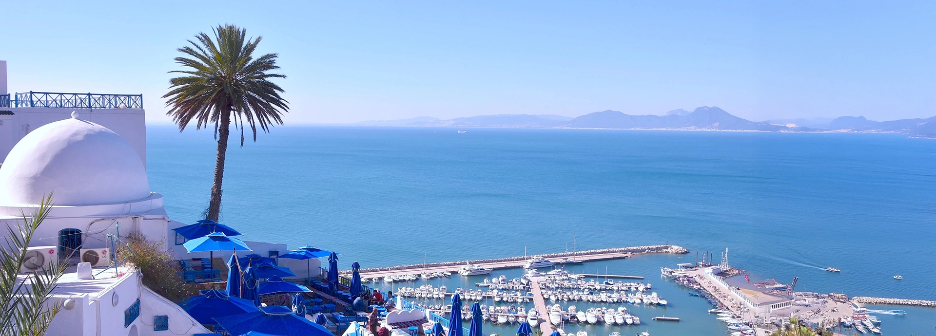 Panoramic view of the Mediterranean coastline with a white dome, palm tree, and vibrant marina below.
