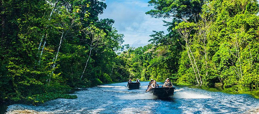 Group of tourists exploring the Amazon River and surrounding rainforest by boat