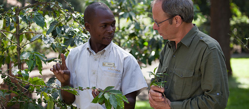 Arusha Coffee Lodge Coffee Tour