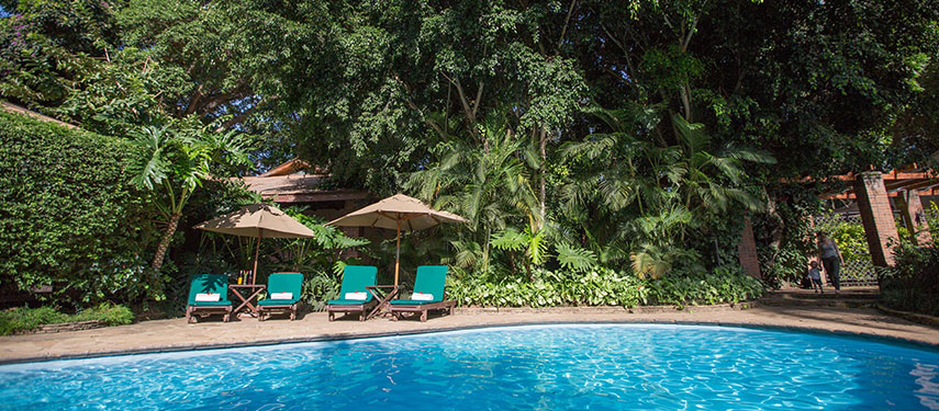 Relax in the pool at the start or end of a safari in Tanzania at Arusha Coffee Lodge