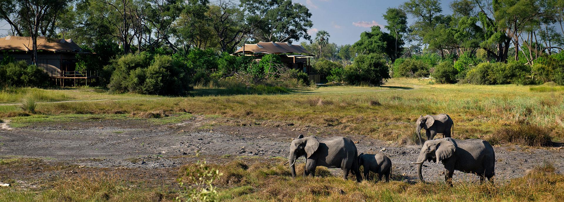 Okavango Atzaro lodge with elephants