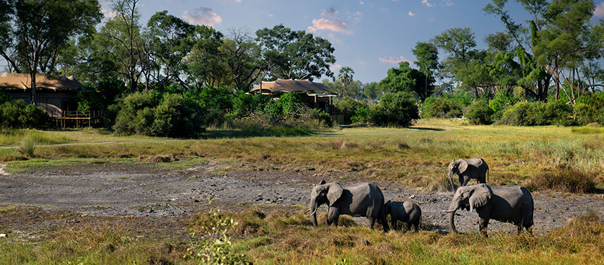 Okavango Atzaro luxury safari lodge Botswana