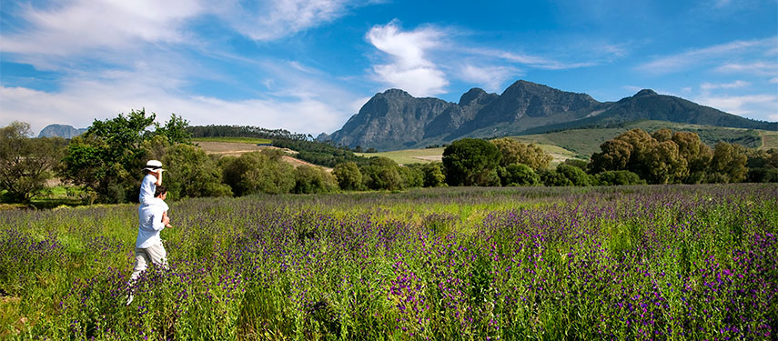 The gardens at Babylonstoren are surrounded by towering mountain landscapes and valleys
