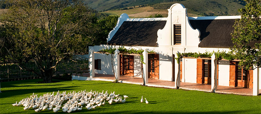 Babylonstoren is one of the oldest Cape Dutch farms in the Franschhoek wine valley
