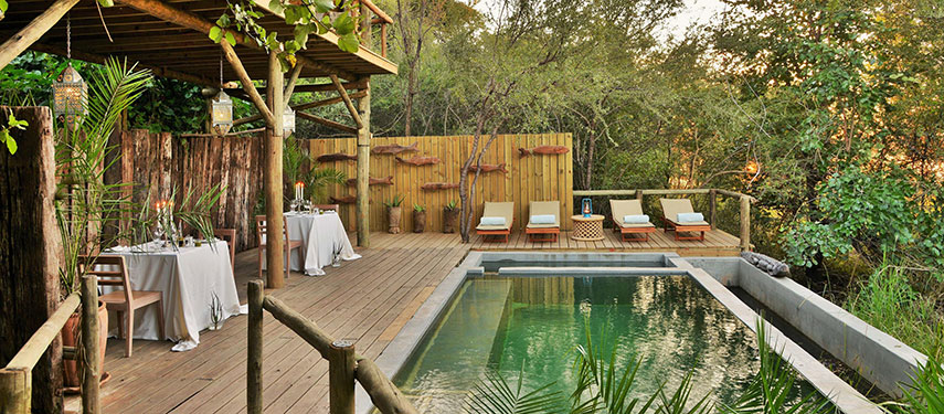 Relax by the pool surrounded by trees at Bakwena Lodge in South Africa