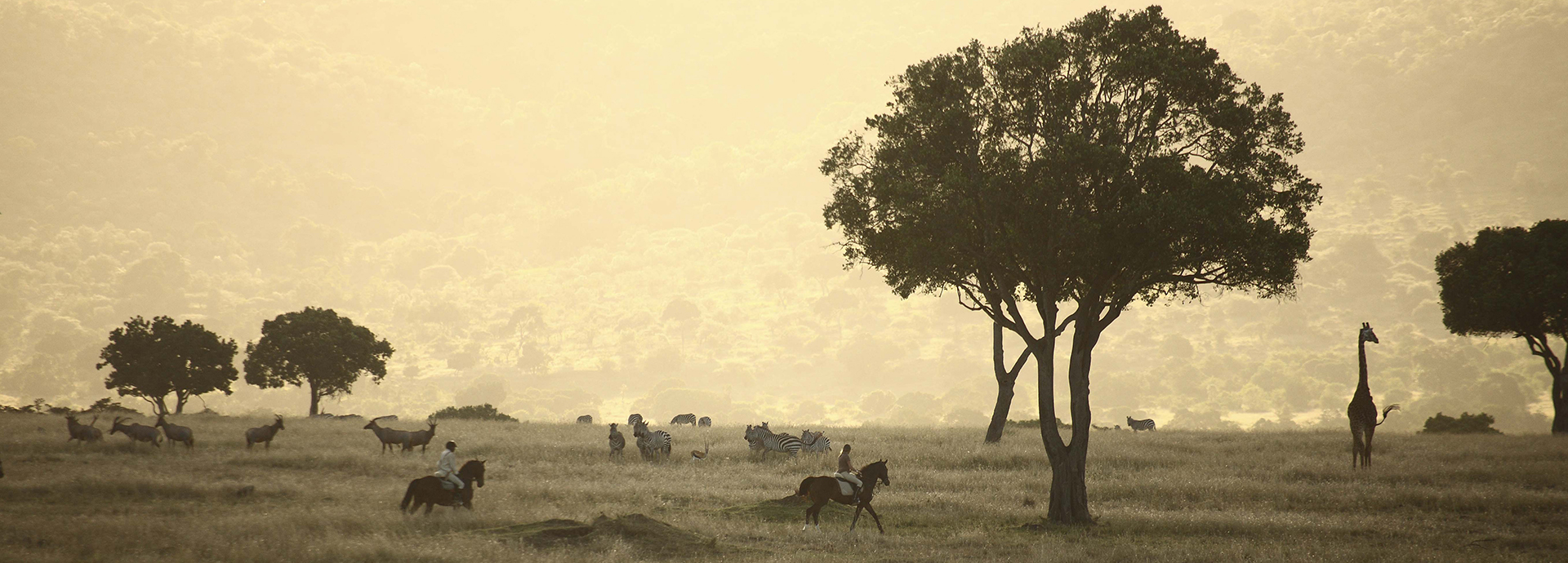 A vintage image of African riding safari