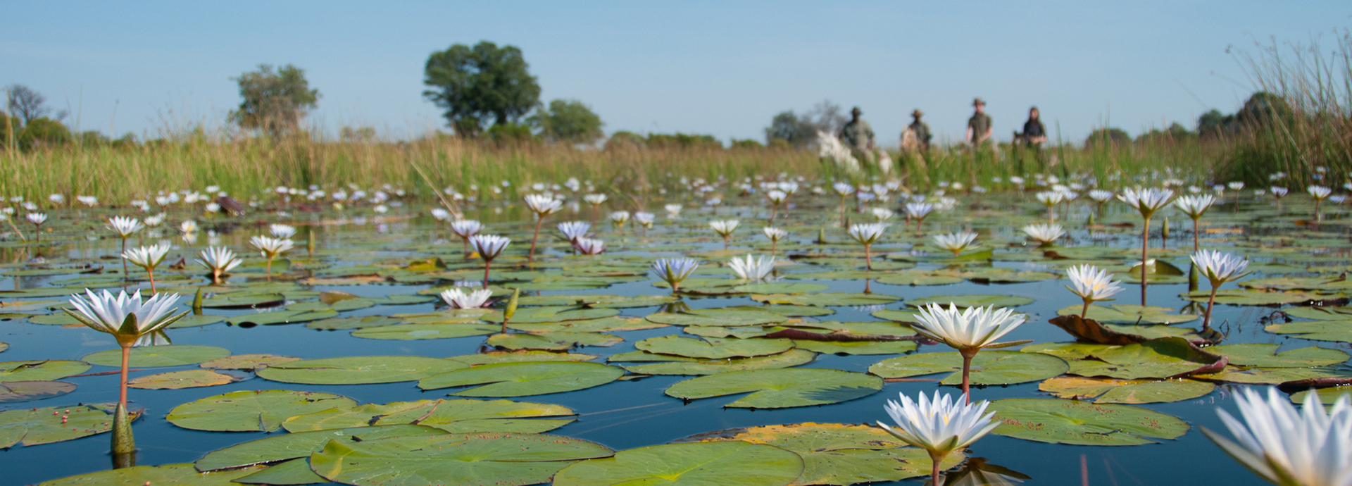 Horse riding through the Okavango Delta in Botswana