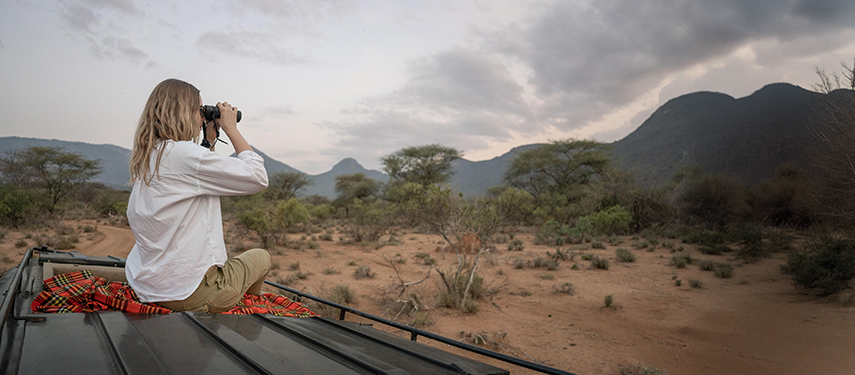 A guest perched atop a safari vehicle, scanning the landscape with binoculars during a peaceful early morning wildlife drive.