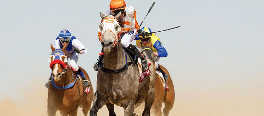 Three jockeys mid race at the Birdsville Races