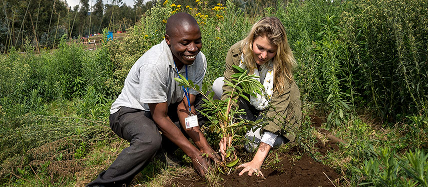 Regenerative tree planting conservation in Rwanda