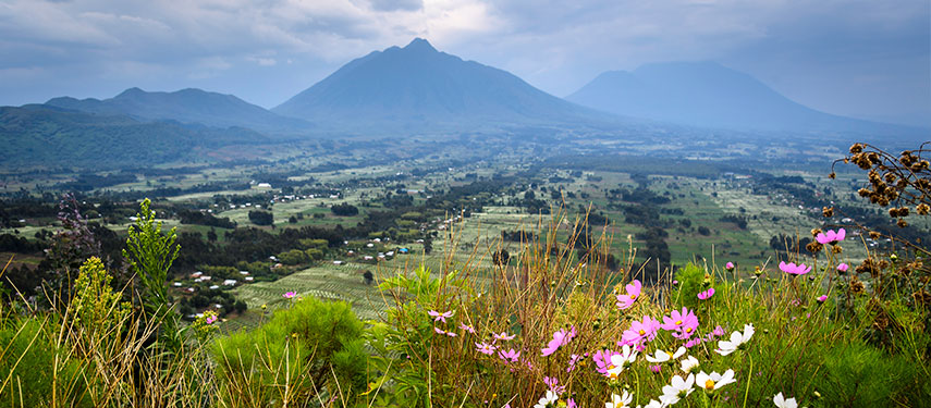 Stunning view across lush valleys to Bisoke and Karisimbi volcanoes from Bisate Lodge