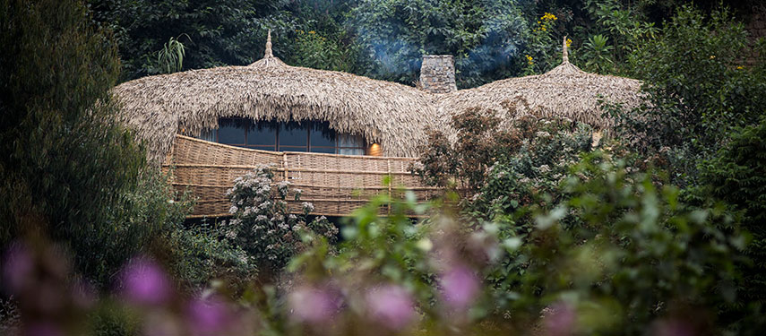 Thatched suites of Bisate Lodge set in the forests of Rwanda