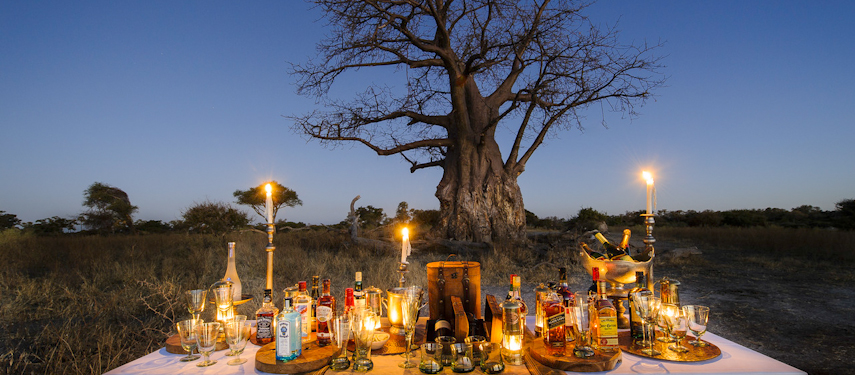 Opulent sunset picnic in the Okavango region of Botswana