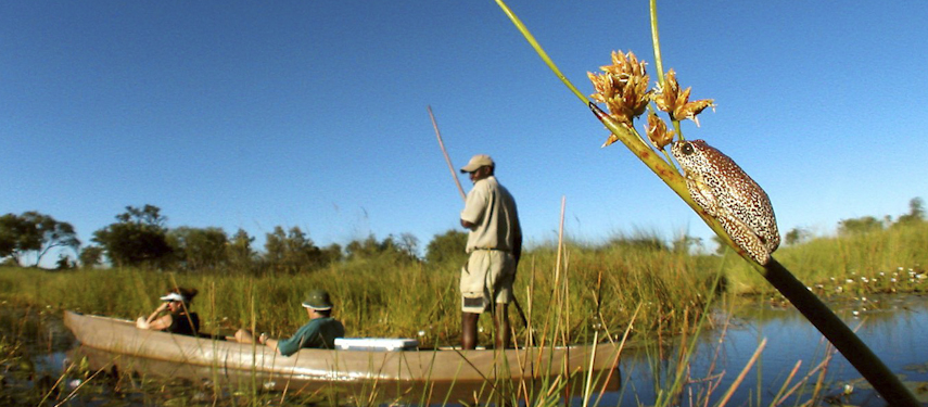Mokoro rides in the Kwedi Concession at Little Vumbura