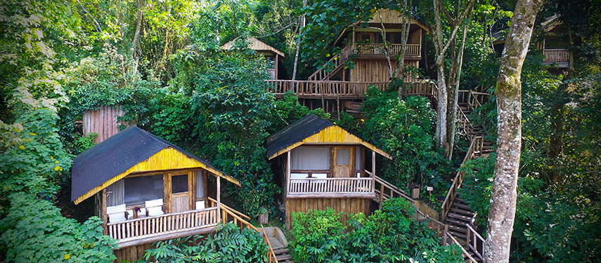 Buhoma Lodge in Bwindi Impenetrable Forest. An ideal base camp for visiting the great ape colony.