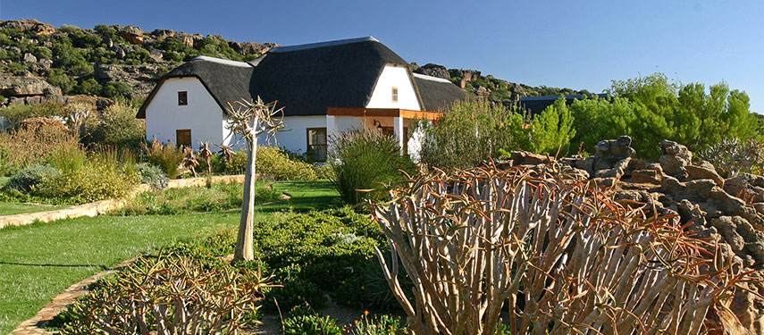 Bushmans Kloof is nestled in the foothills of the Cedarberg Mountains surrounded by stunning flora