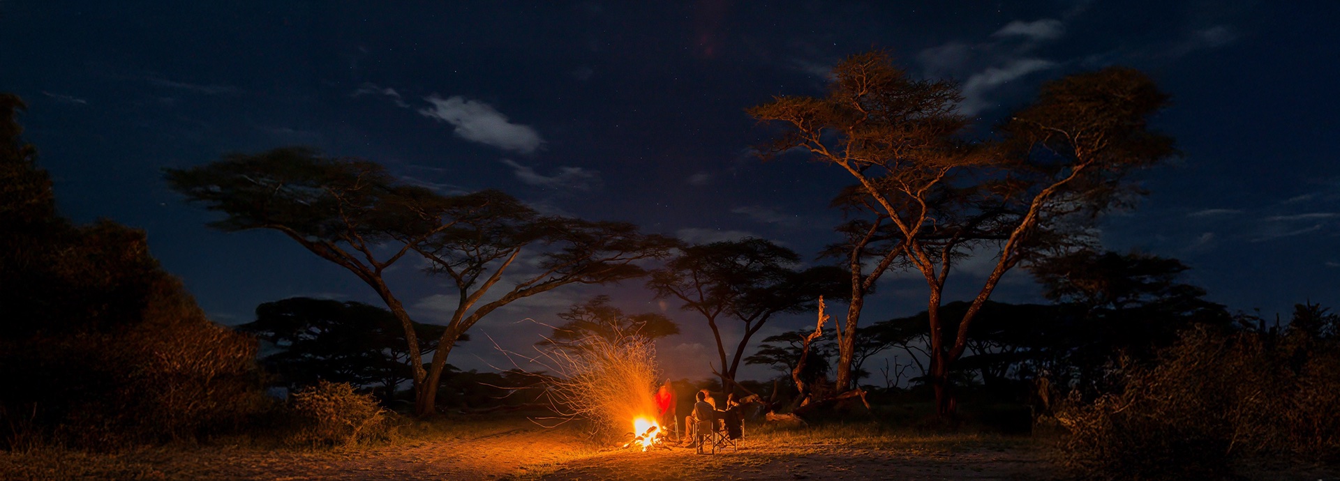 Campfire Under African Night Sky With Trees Samburu Kenya Sarara Wilderness Camp