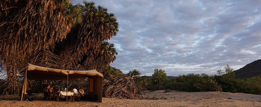 Tented bush camp under palm trees in the African bush