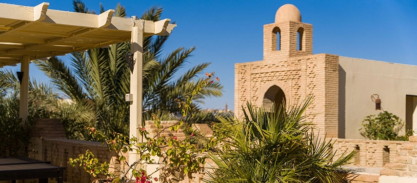 Rooftop terrace at Dar Tozeur with palm trees and traditional Tunisian brick architecture under a clear sky.