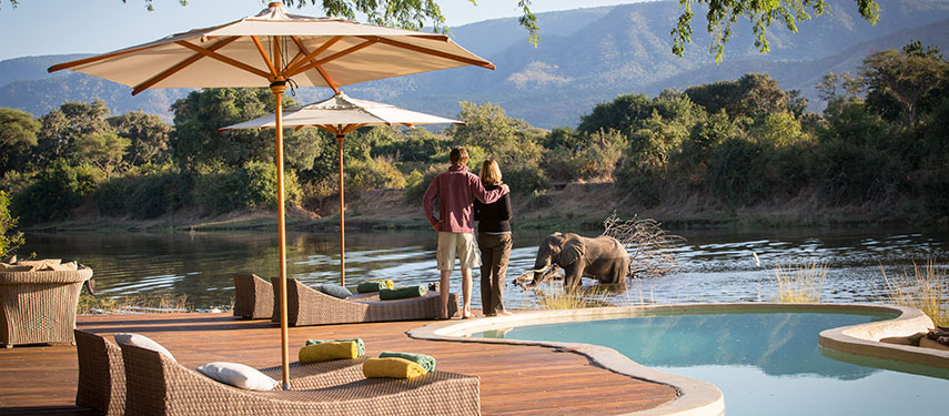 Elephants right up at camp at Chongwe House