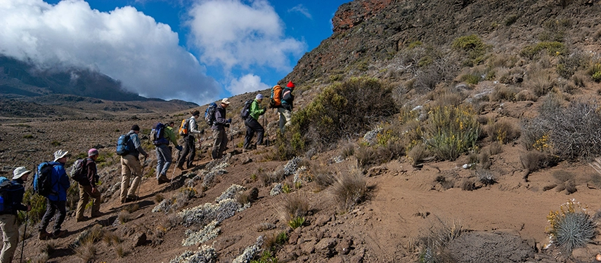 Group of hikers ascending a steep alpine slope on Kilimanjaro under a clear blue sky with scattered clouds.