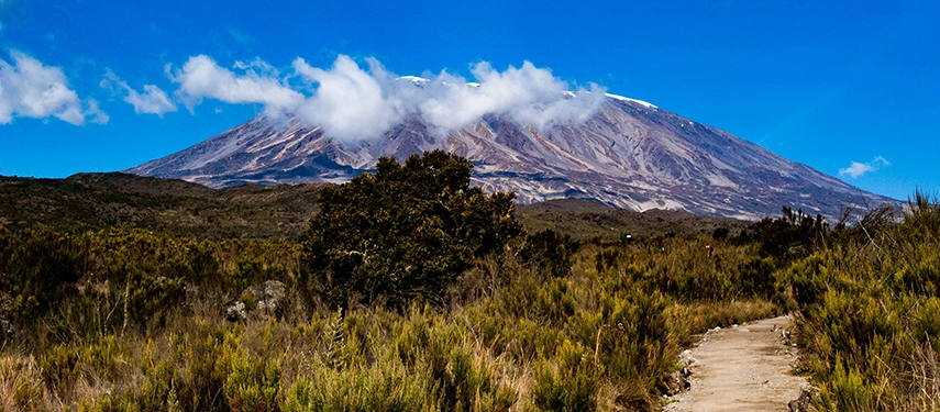 Dusty trekking trail winding through montane shrubland with cloud-covered Mount Kilimanjaro rising in the background.
