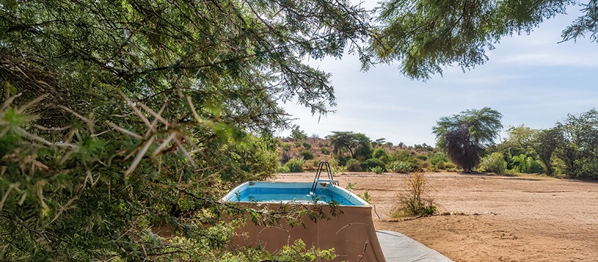 Desert Oasis Plunge Pool Landscape Trees Sarara Wilderness Camp