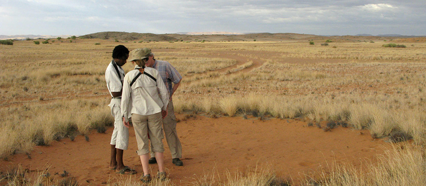 Desert Researchers Examining Fairy Circles Namibia