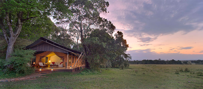 Luxury tented accommodation at Elephant Pepper Camp is hidden amongst the bushes