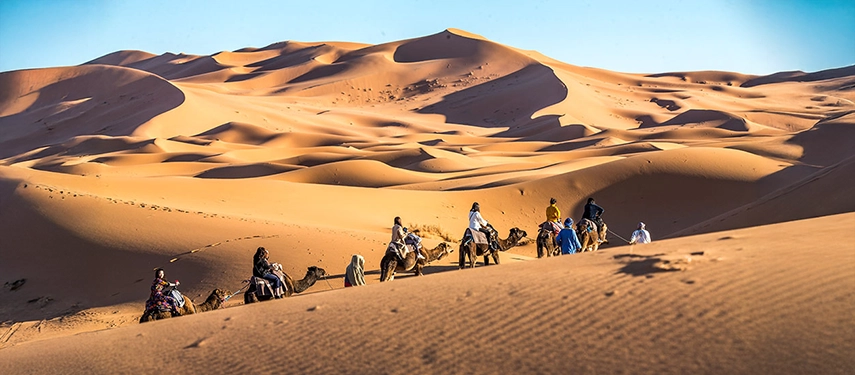 Travellers on camelback trekking through the sweeping golden dunes of Erg Chebbi.