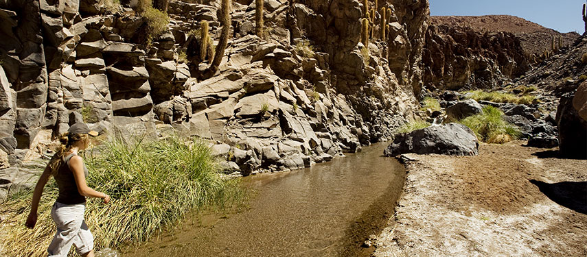 Woman walking along a canyon in the Atacama Desert of Chile