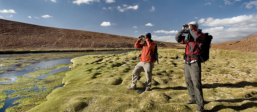 Couple looking through binoculars on a wildlife walk at Explora Atacama hotel, Chile