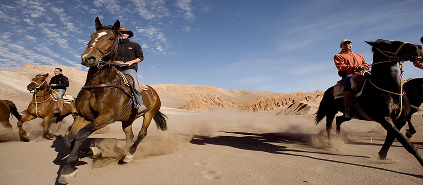 A group horseriding in the dunes of the Atacama Desert