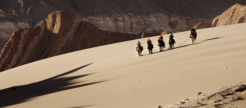 A group horseriding in the dunes of the Atacama Desert