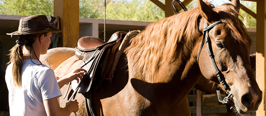 Woman tacking a horse at Explora Atacama hotel, Chile.