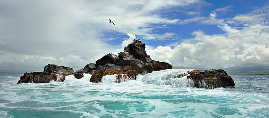 Dramatic view of the ocean and a rocky outcrop with an albatross soaring above in the Galápagos Islands
