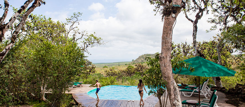 Family enjoying cooling off in the swimming pool at Galápagos Safari Camp