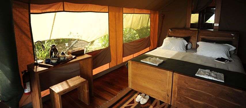 Interior of a double tent at the intimate Galápagos Safari Camp