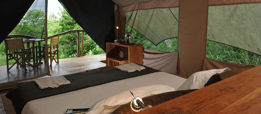 Interior of a double tent looking out over the forested surroundings at the intimate Galápagos Safari Camp