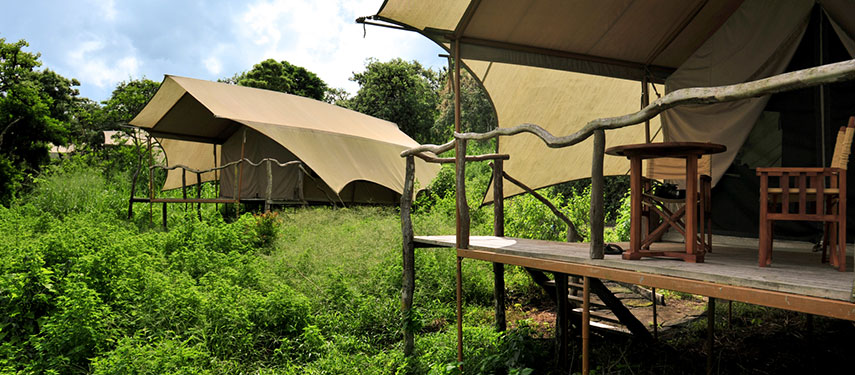 External view of tented suites at Galápagos Safari Camp