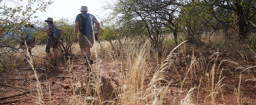 The Great Walk of Africa