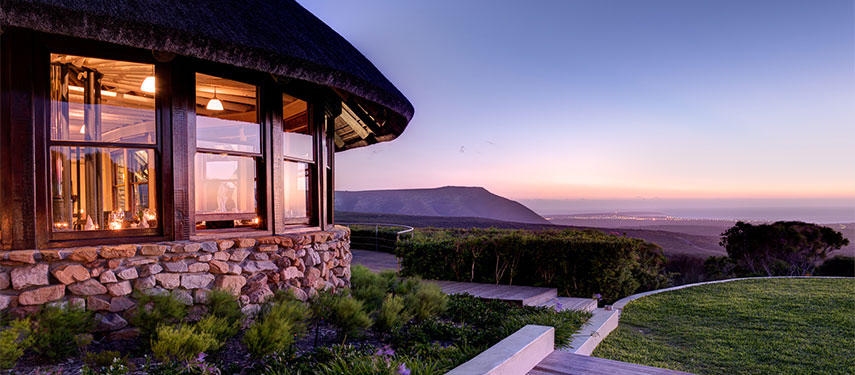 An eden of Fynbos at Grootbos Garden Lodge