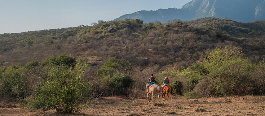Guests riding bush ponies through rugged Samburu terrain beneath the Mathews Range.