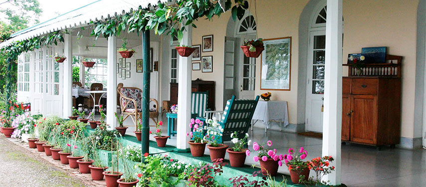 Reminisce over the happenings on the tea plantations when at Glenburn Tea Estate
