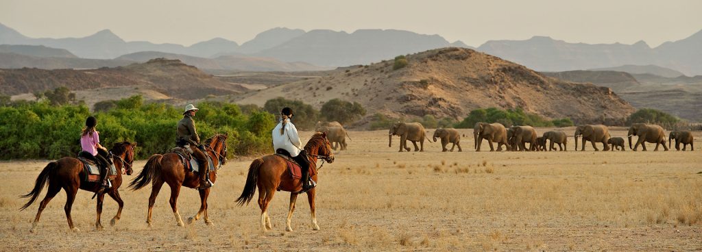 A horse riding safari across the Masai Mara, with elephants in the background