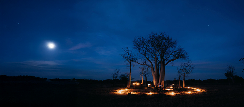 Moonlit outdoor dining experience under ancient boab trees